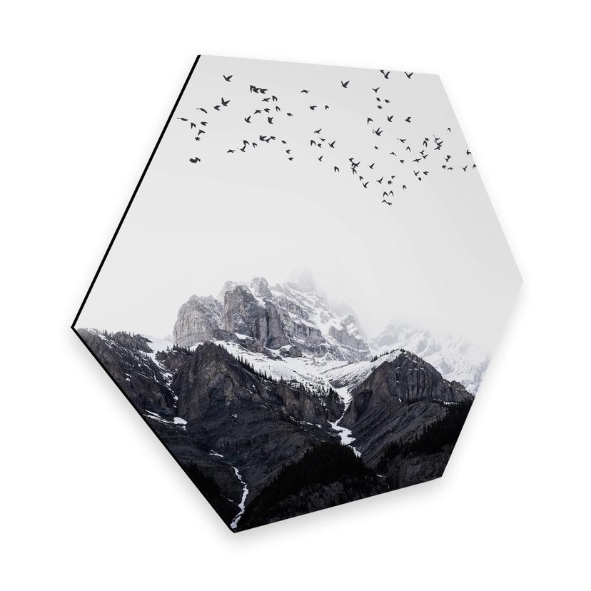 Hexagone - Alu-Dibond Kubistika - En haut des montagnes