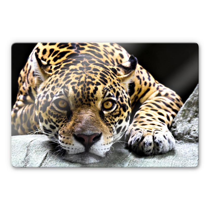 Tableau en verre - Jaguar