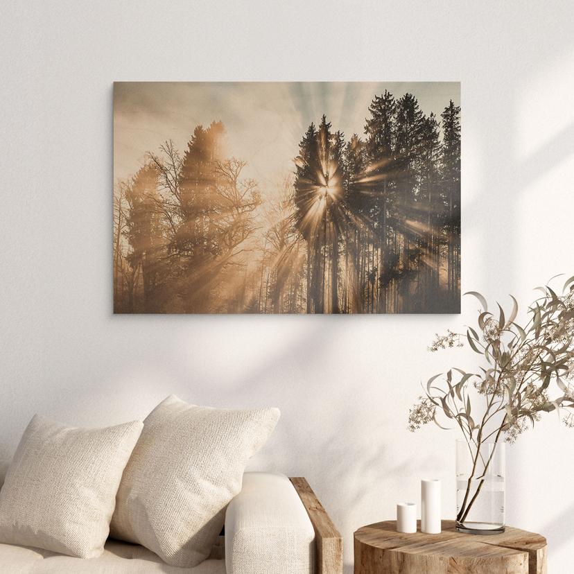 Cuadro de madera rayos de luz en el bosque - Eisenmann