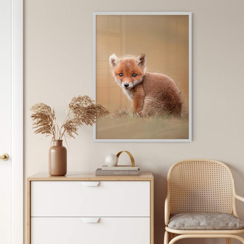 Poster van Duijn - Baby fox