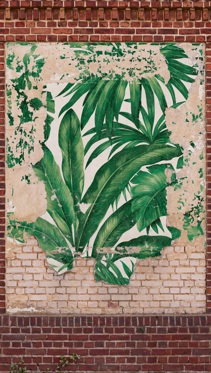 Graffiti marrón beige - Fotomural tejido-no tejido - Industrial Livingwalls - mate y liso