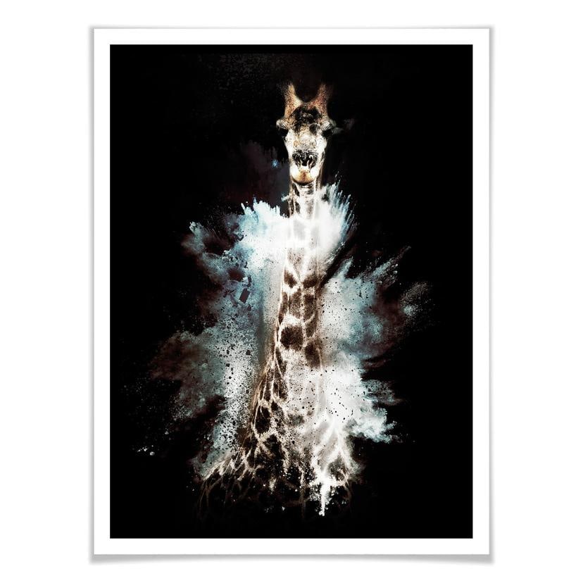 Poster Hugonnard - Explosion sauvage : Girafe