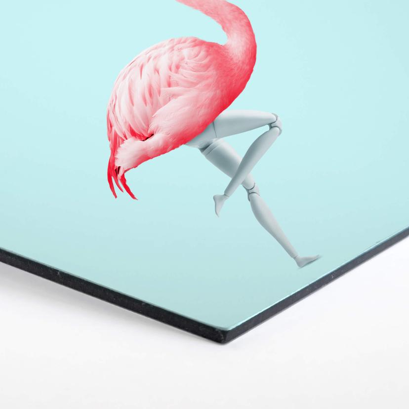 Esagoni Alu-dibond Loose - Flamingo Mannequin