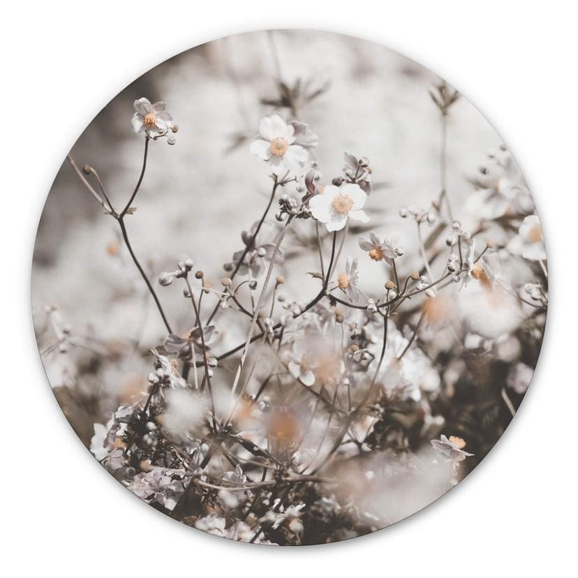 Tableau sur alu-Dibond Annie - Fleurs sauvages - Rond