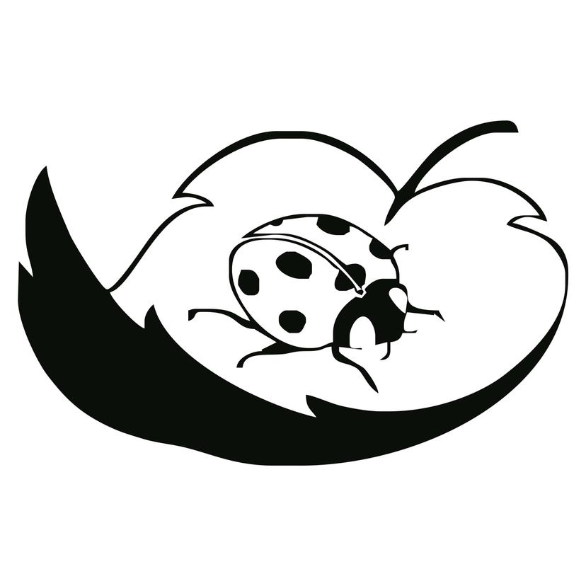 Adesivo murale - Coccinella