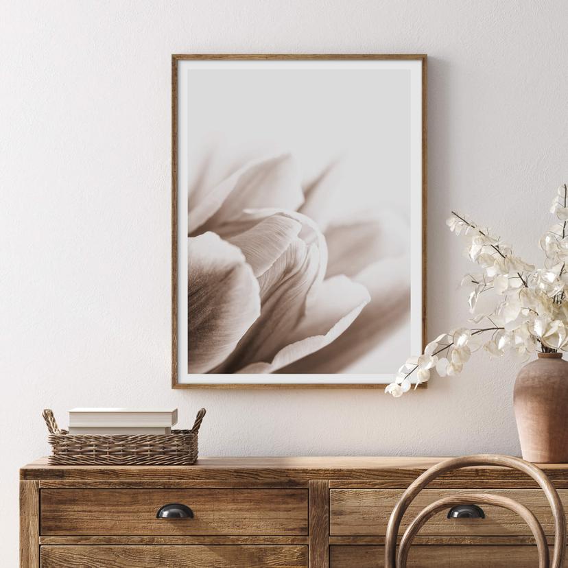 Poster - Tulipano in dettaglio