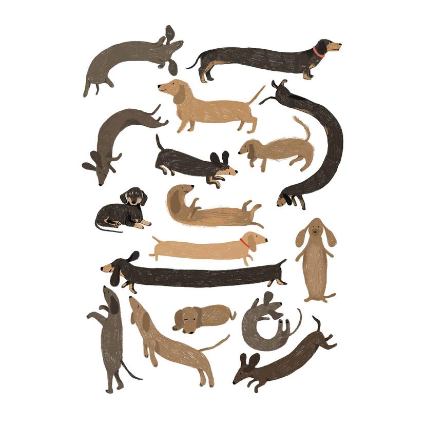 Fotomurale Bassotti giocherelloni - Illustrazione di cani - Melin