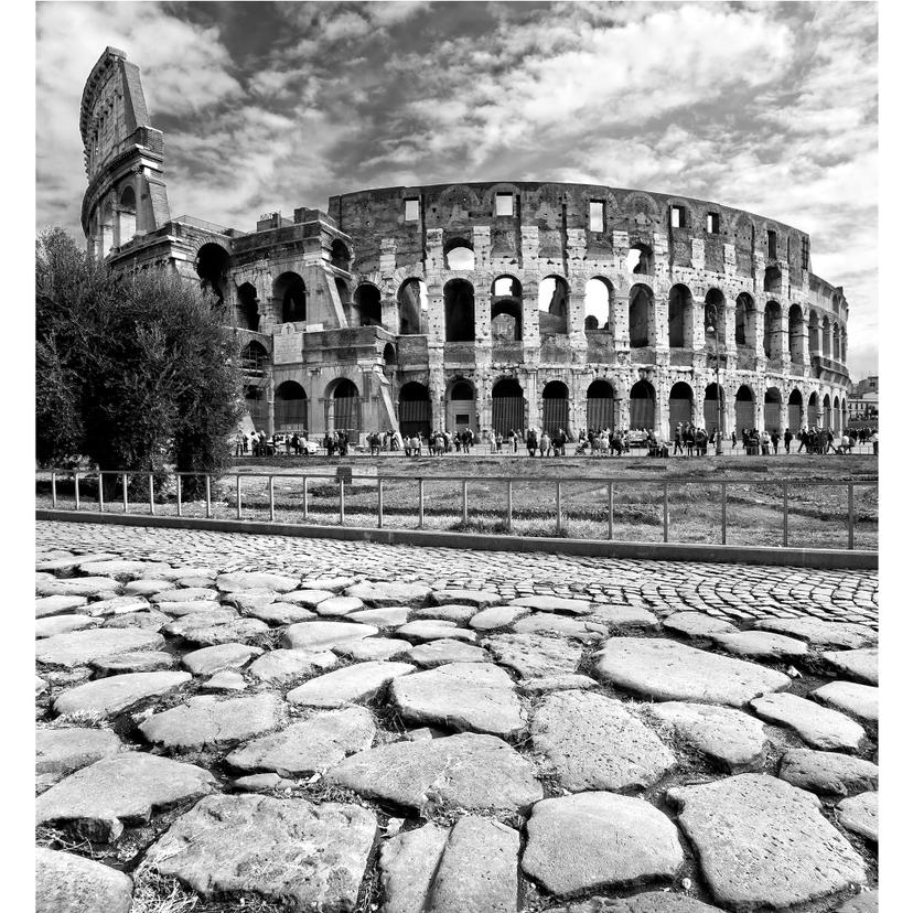 Fotomurale Colosseo