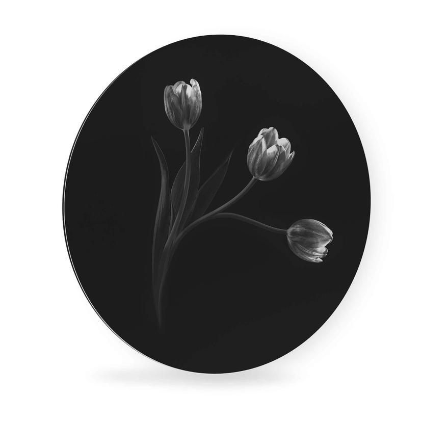 Alu-dibond Pan - Tulipani - tondo