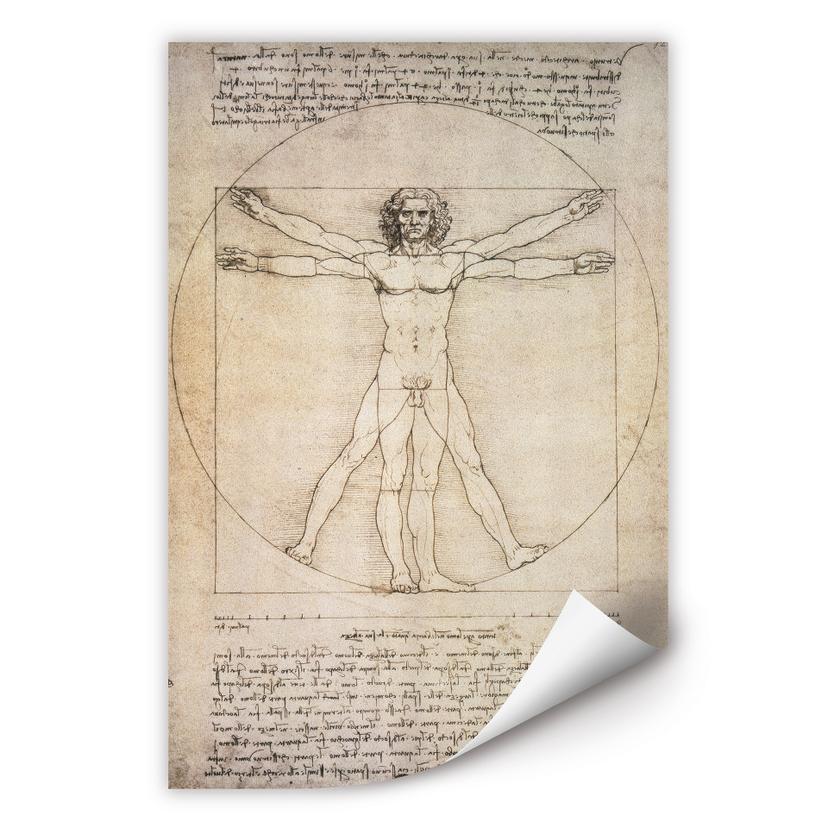 Zelfklevende Poster - da Vinci - Mens van Vitruvius