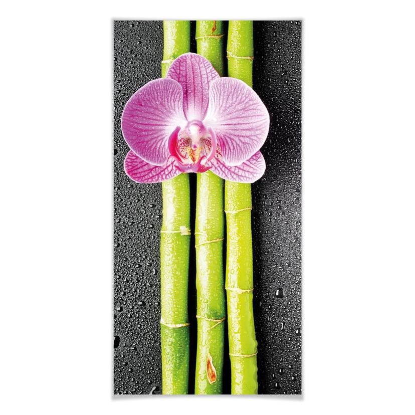 Póster Orquídea y bambú - Panorama 01