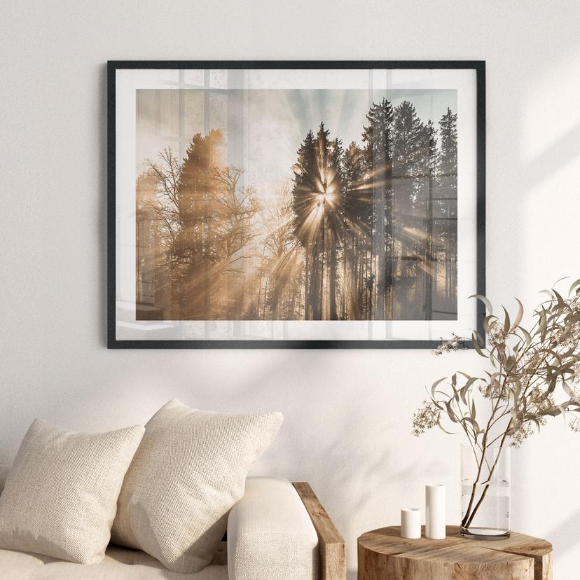 Poster della natura raggi di luce nella foresta - Eisenmann