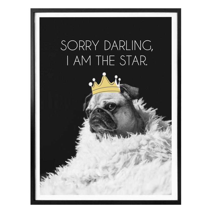 Póster Lo siento cariño, soy la estrella
