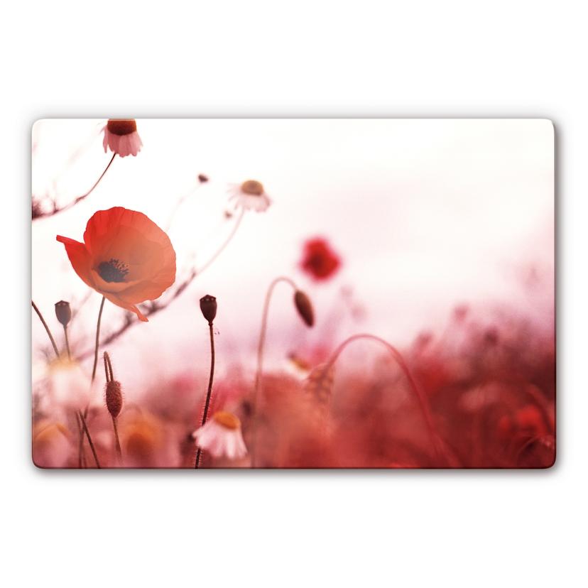 Tableau en verre - Coquelicots