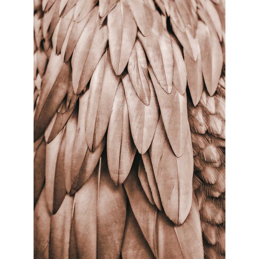 Livingwalls papier peint photo ARTist Feathers cuivre