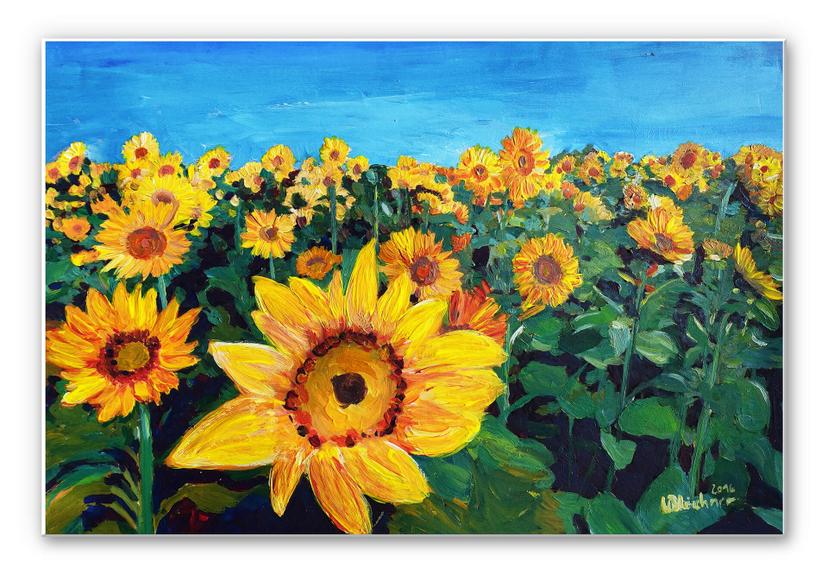 Wandbild Bleichner - Sunflower Fields