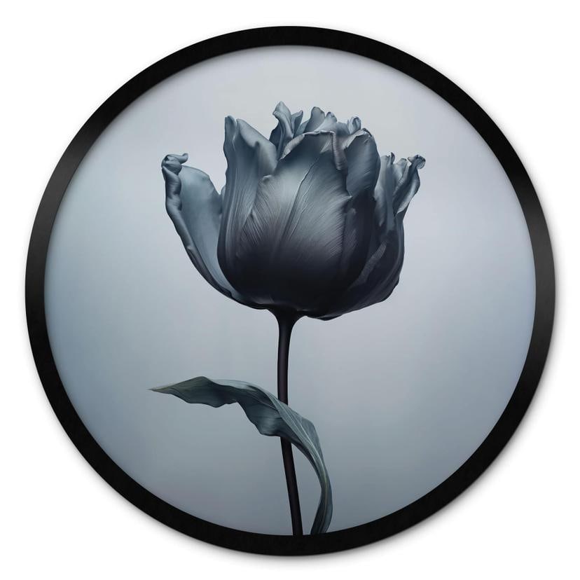 Plakat Fløjlsagtig tulipan i sort - Paksoylu