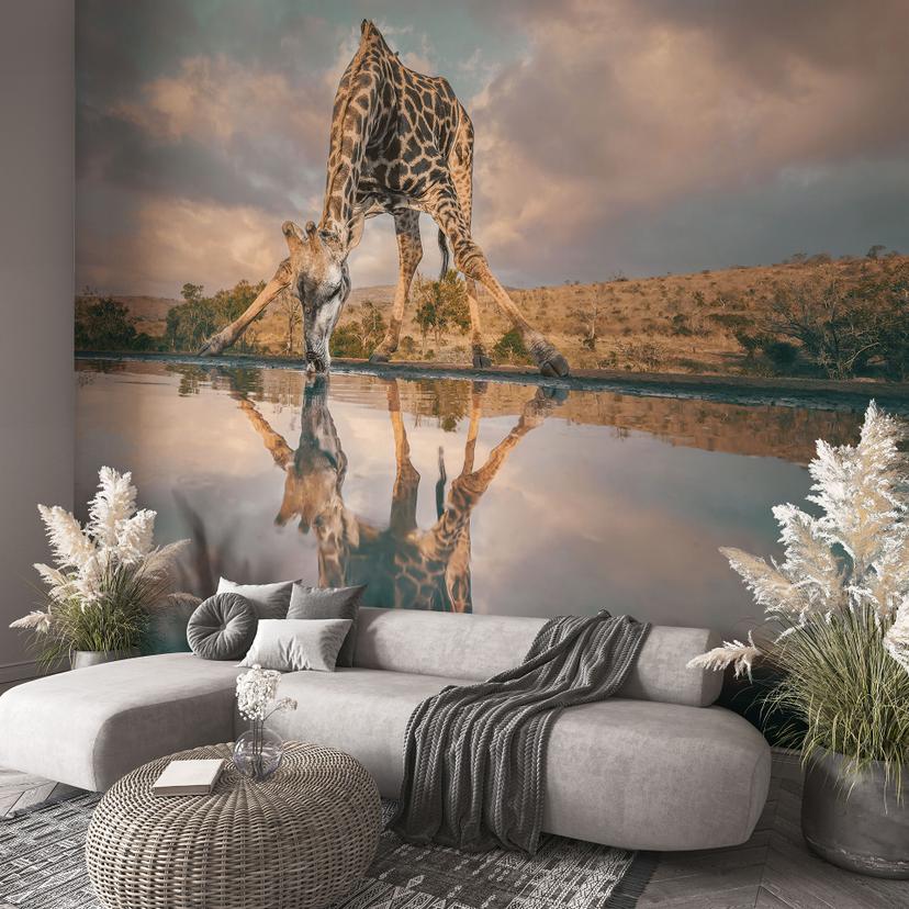 Papier peint photo reflet d'une girafe dans la nature | Afrique papier peint - Amtmann