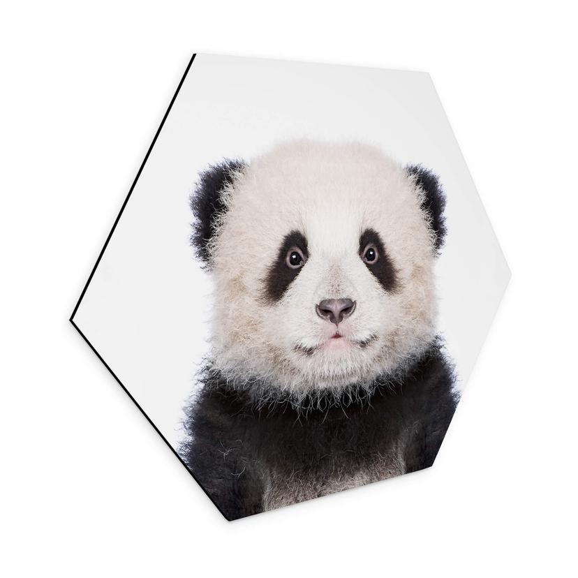 Hexagone - alu-Dibond Sisi & Seb - Baby Panda