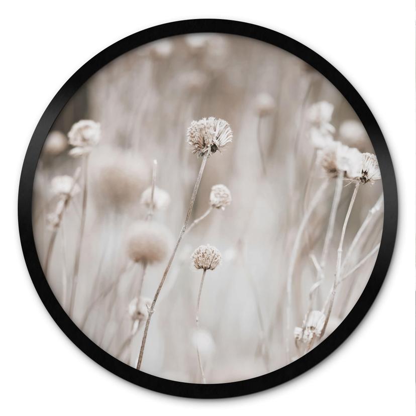 Plakat Tørrede blomster i bløde farver - Annie - Rund