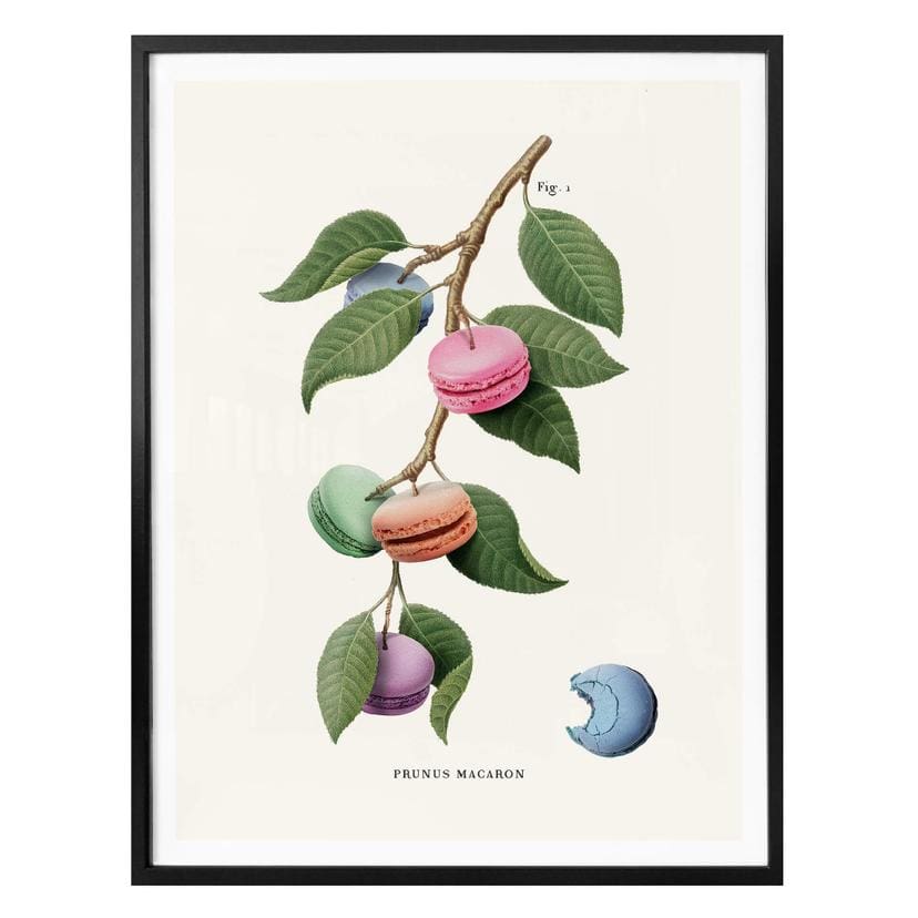 Póster Suelto - Planta de macarons