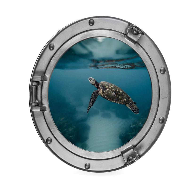 Alu-Dibond 3D-Optik Bullauge - Schildkröte seitlich - Rund