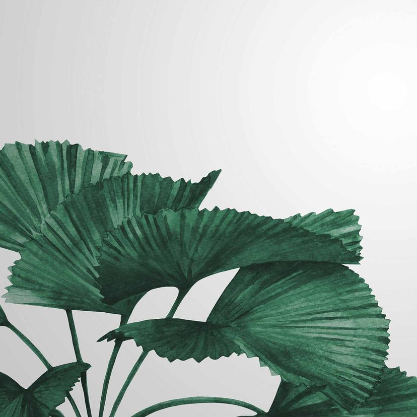 Carta da parati Tropical Leaves in grigio verde - Carta da parati in tessuto non tessuto Designwalls