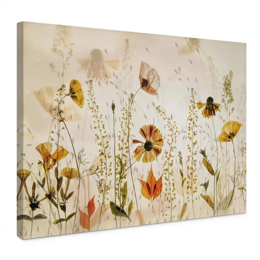Canvasbillede Vilde engblomster i sollyset - Talen