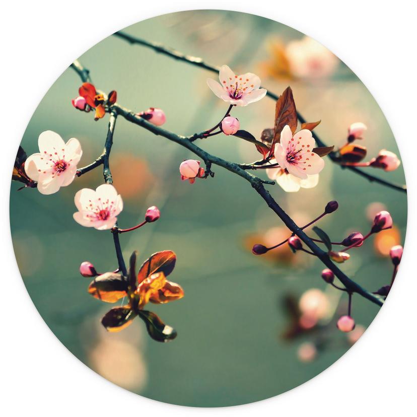 Papier peint photo Eveil du printemps - Rond - papier peint intissé/papier peint intissé autocollant