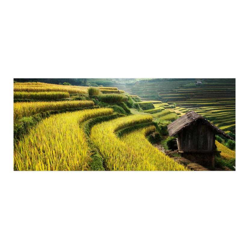 Rivestimento cucina autoadesivo Intarob - Campi di riso in Vietnam