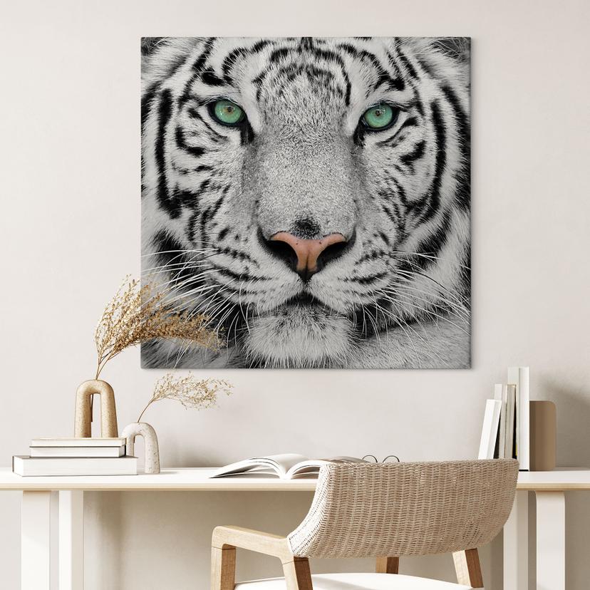 Stampa su tela Magnifica tigre di Sumatra