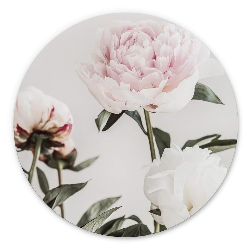 Tableau sur alu-Dibond rond 1X Studio - Trois pivoines en fleurs