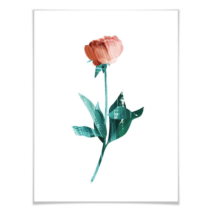Póster Goed Blauw - La rosa