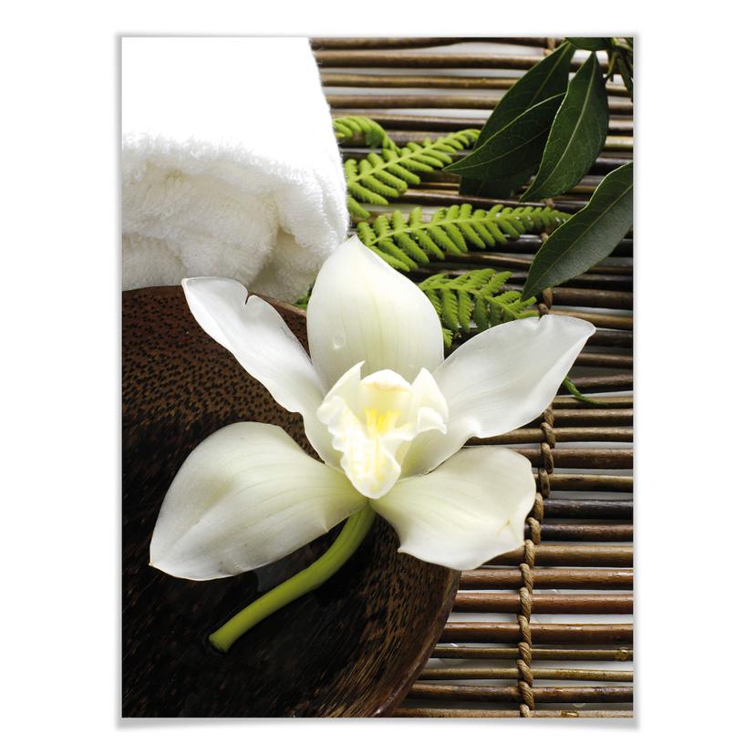 Poster - Wellness Orchidee