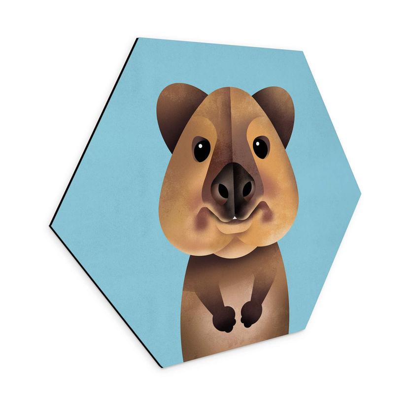Hexagon Dibond Braun - Quokka