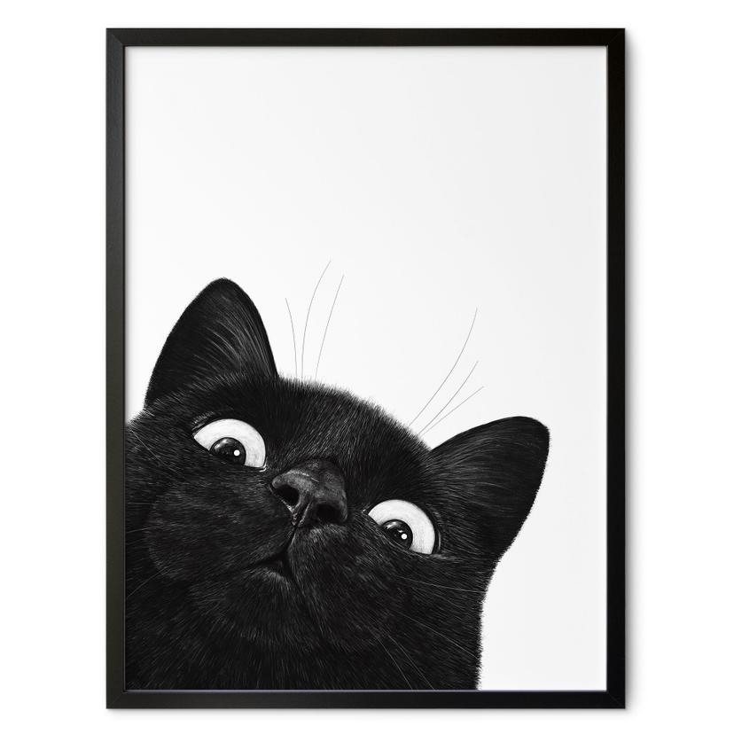 Poster Rolig svart katt - Korenkova