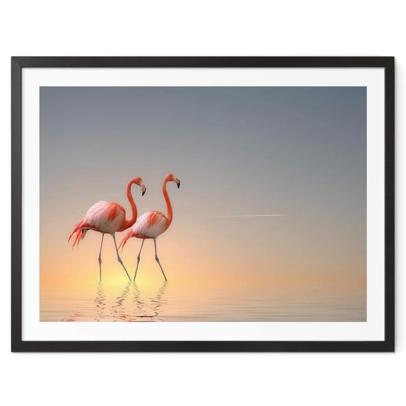 Póster Cseresnjes - Flamencos a la luz del atardecer