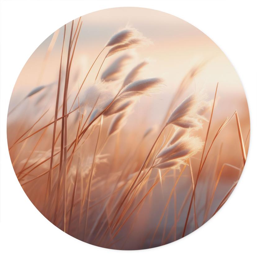 Muursticker Duingras in de avondzon - Treechild - Rond