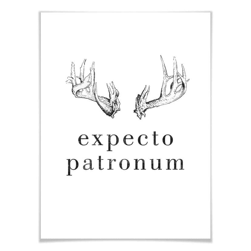Affiche - Expecto Patronum