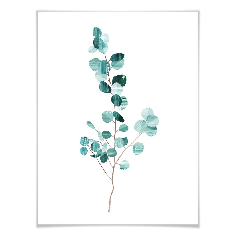 Poster Goed Blauw – Foglie di eucalipto