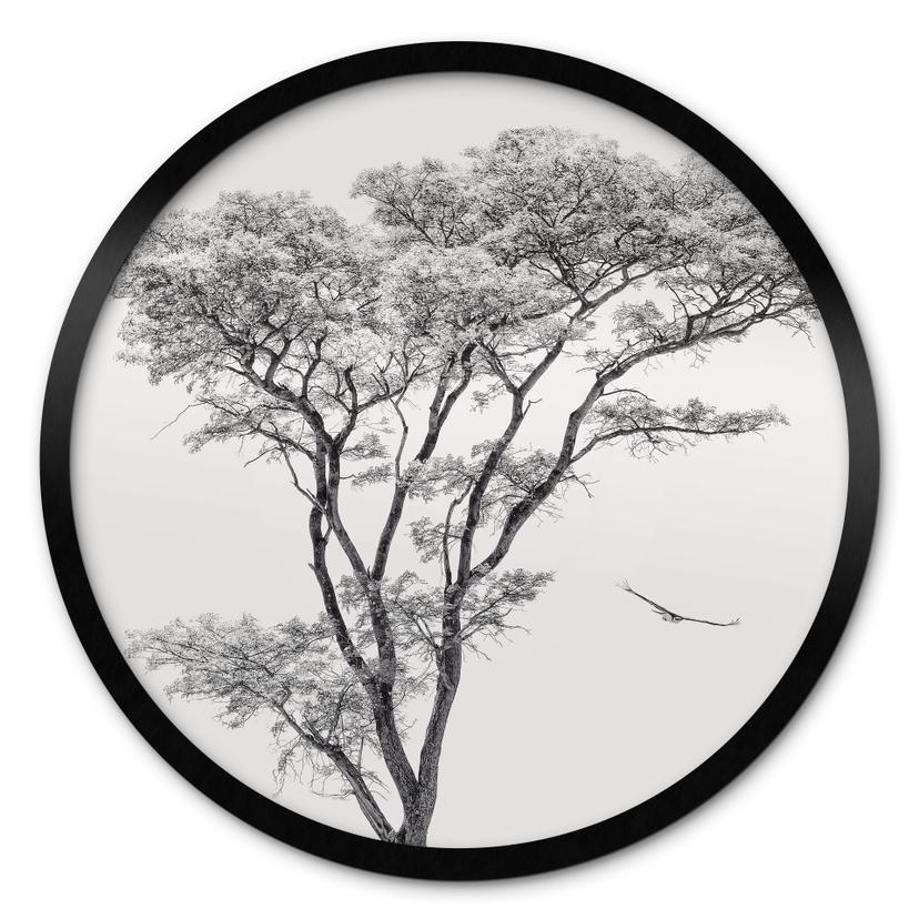 Póster Árbol minimalista en un paisaje tranquilo - Harina - Redondo