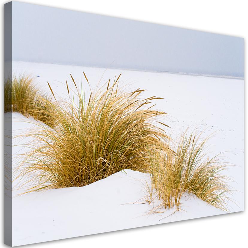 Canvasbillede, Klitter på gyldent sand