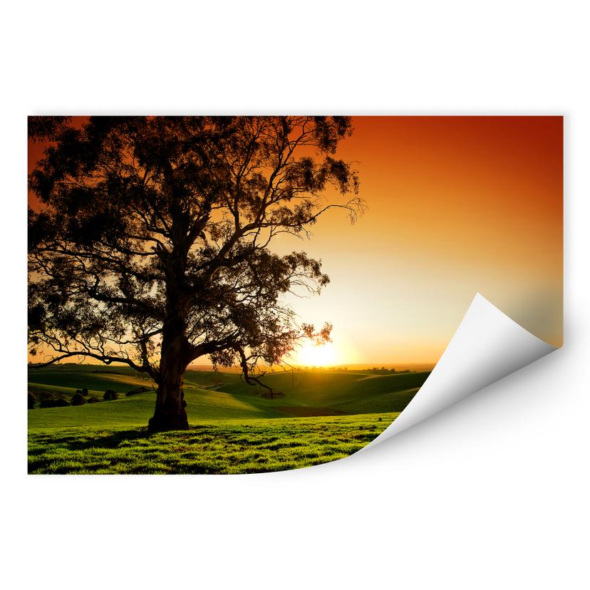 Zelfklevende Poster - Sunset at the Lake