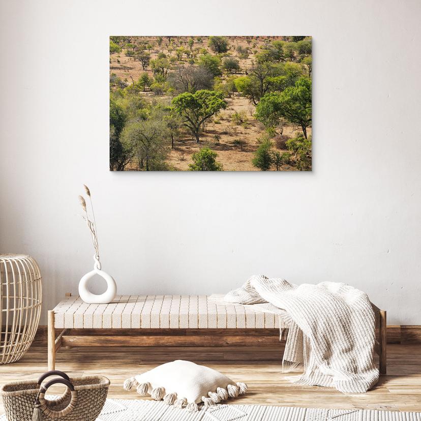 Stampa su legno paesaggio della savana in Africa - Hugonnard
