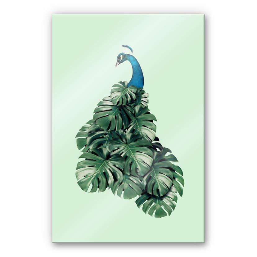 Akrylbillede Løs - Monstera Bird