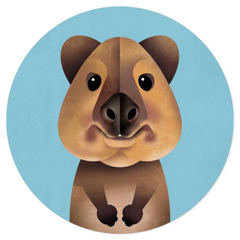 Adesivo murale Braun - Quokka