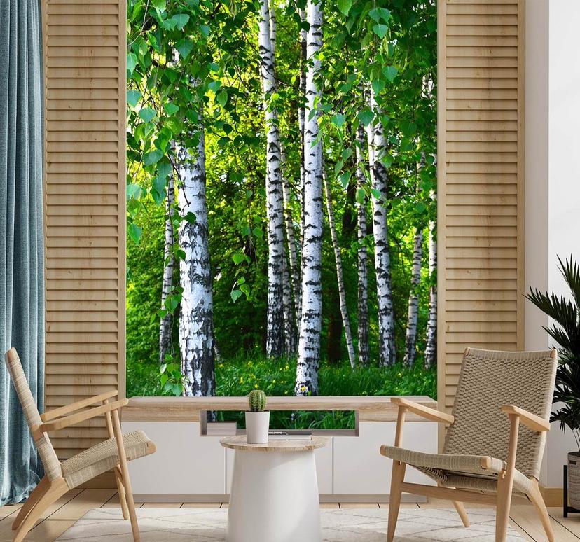 Fototapete, Birken Wald Natur