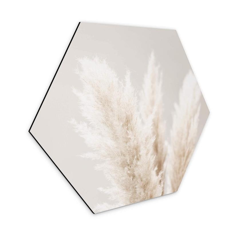Hexagone - Alu-Dibond 1X Studio - Herbes de la Pampa