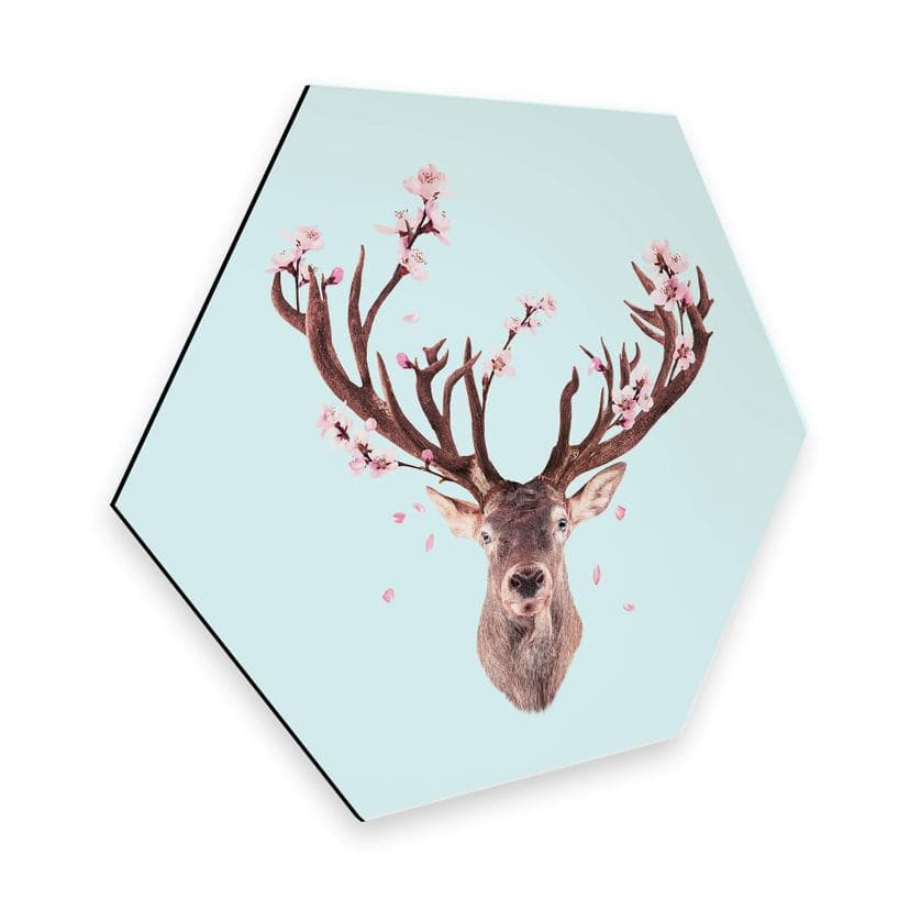 Hexagon Dibond Loose - Cherry Blossom Deer