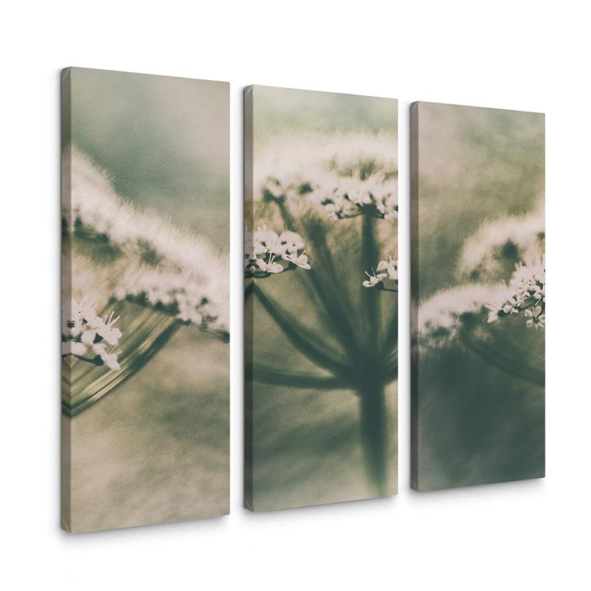 Canvasbillede - Davidsson - White Flowers (sæt med 3)